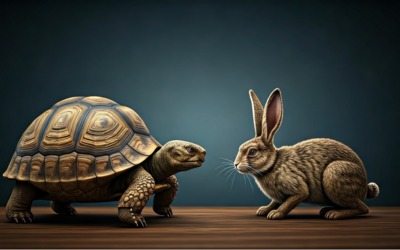 The Turtle and the Hare in Business Strategy