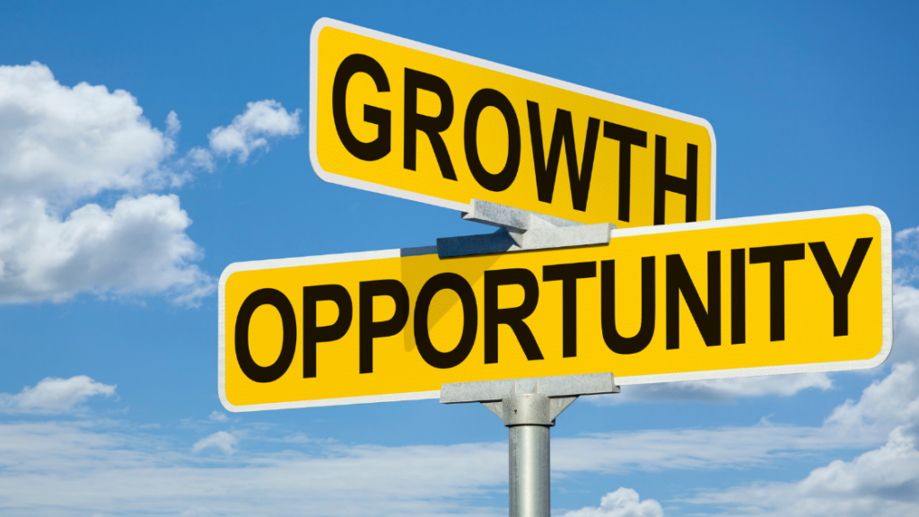 Capitalizing on Opportunities for Growth